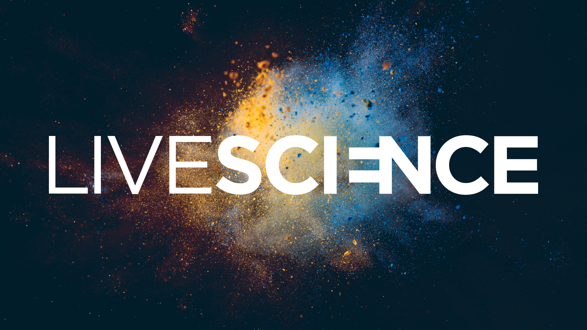 Newsletter quotidienne