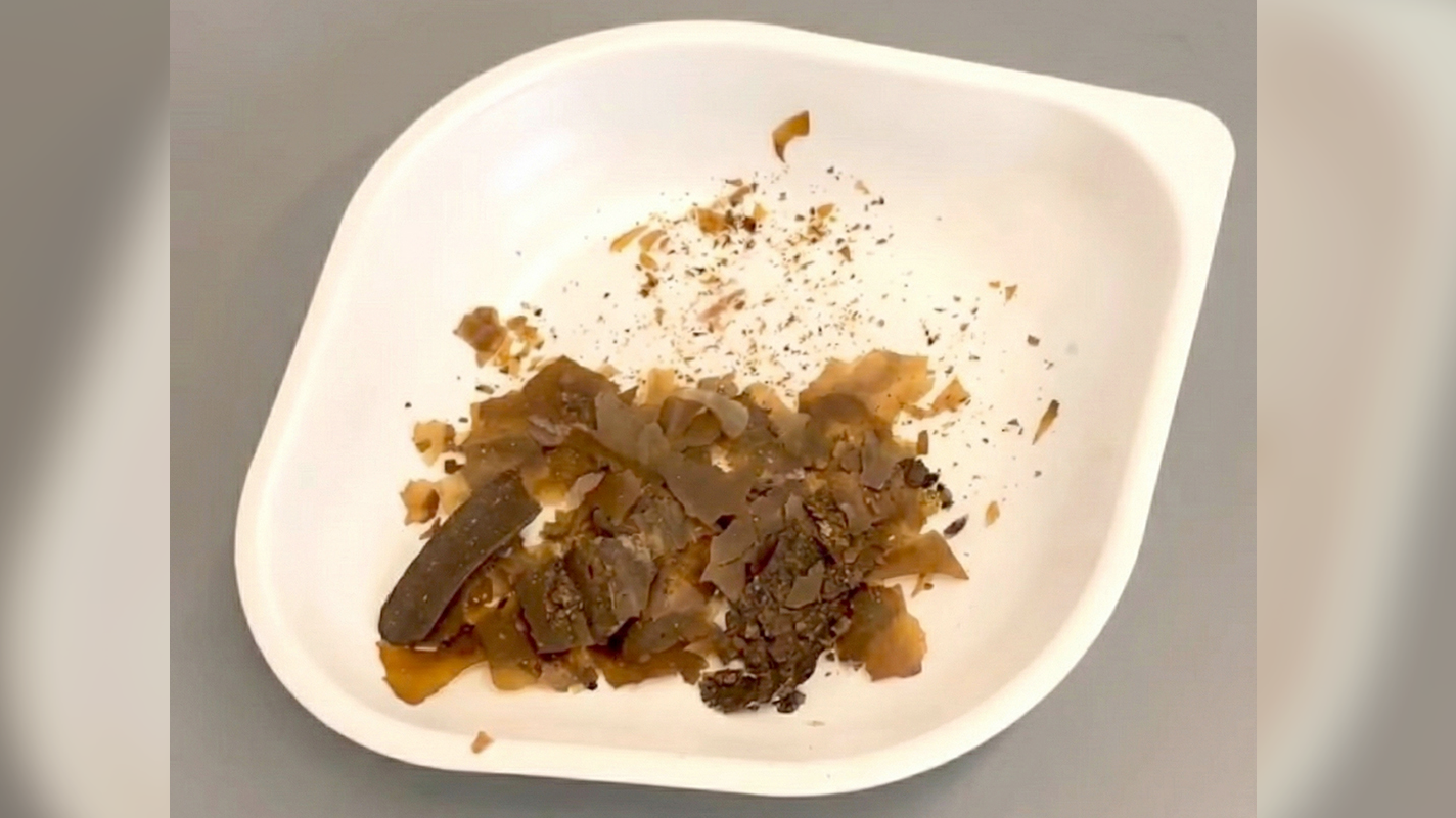 assiette en plastique blanc avec des flocons brunâtres dessus