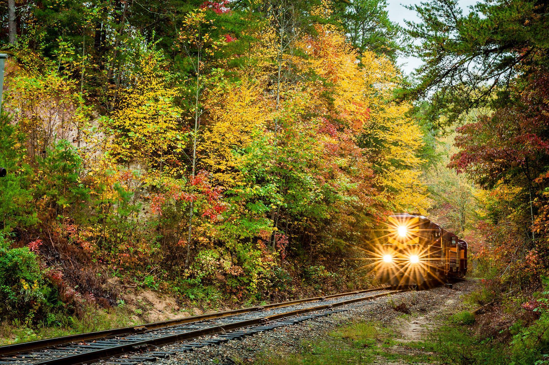 NCPN Great Smoky Mountain Railroad traversant le feuillage d'automne (1)
