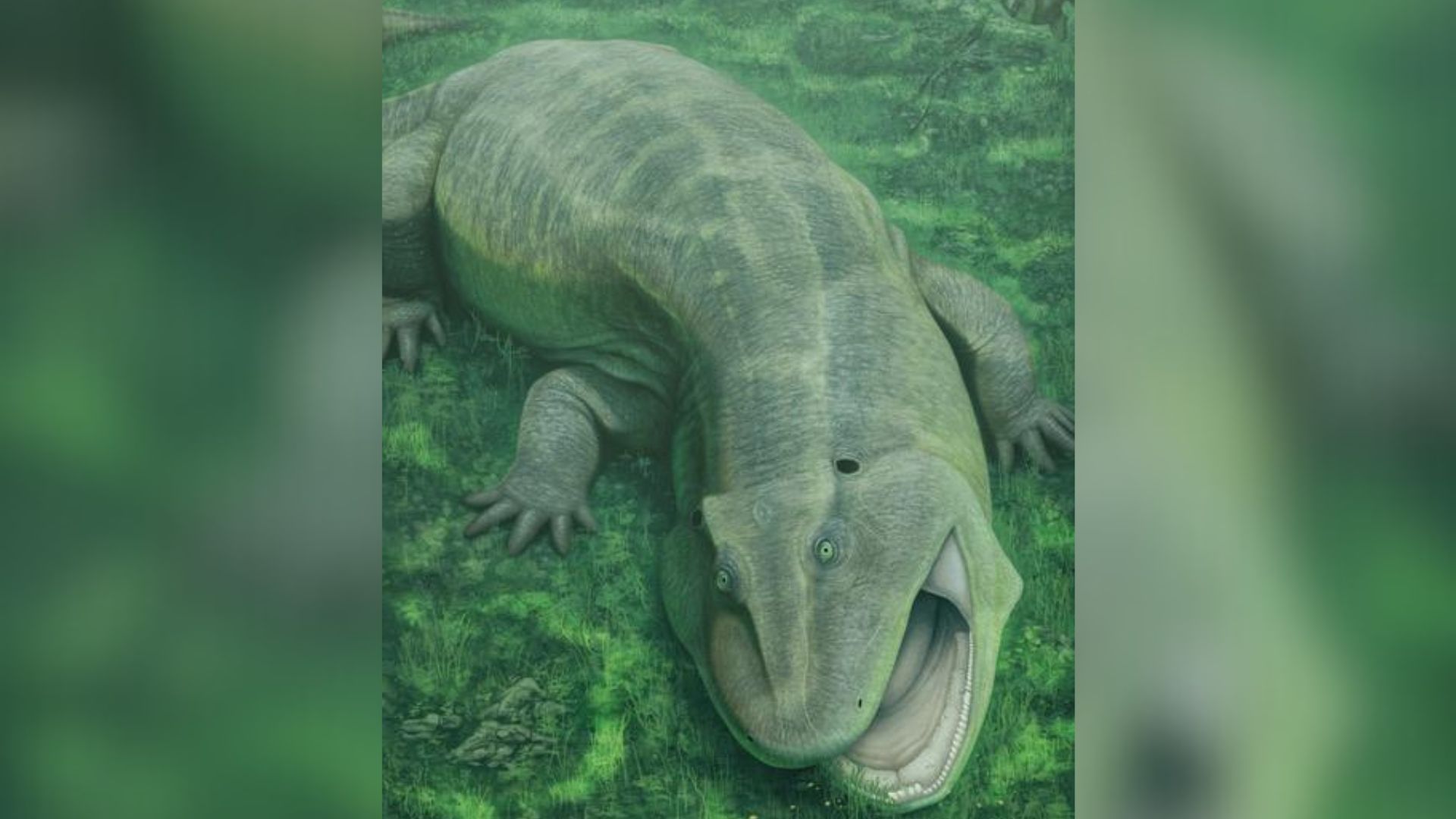 An illustration of a green lizard-like animal with a large open maw, crawling on its stomach against a lush green ground