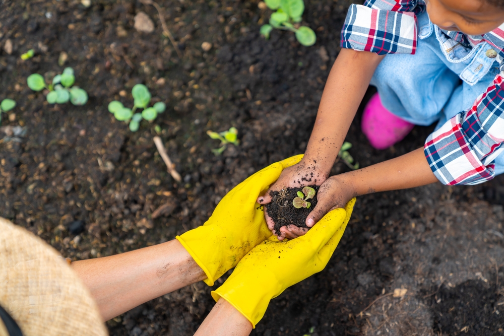 12 légumes de saison fraîche que vous pouvez encore planter avant le printemps