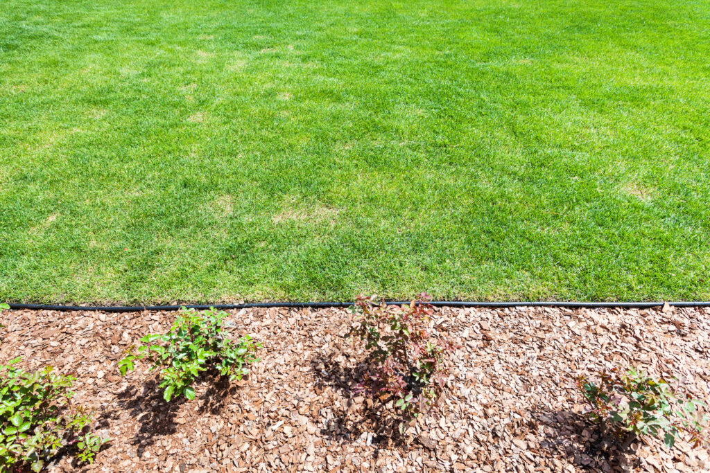 7 idées rapides de bordures de parterres de jardin qui résistent toute la saison