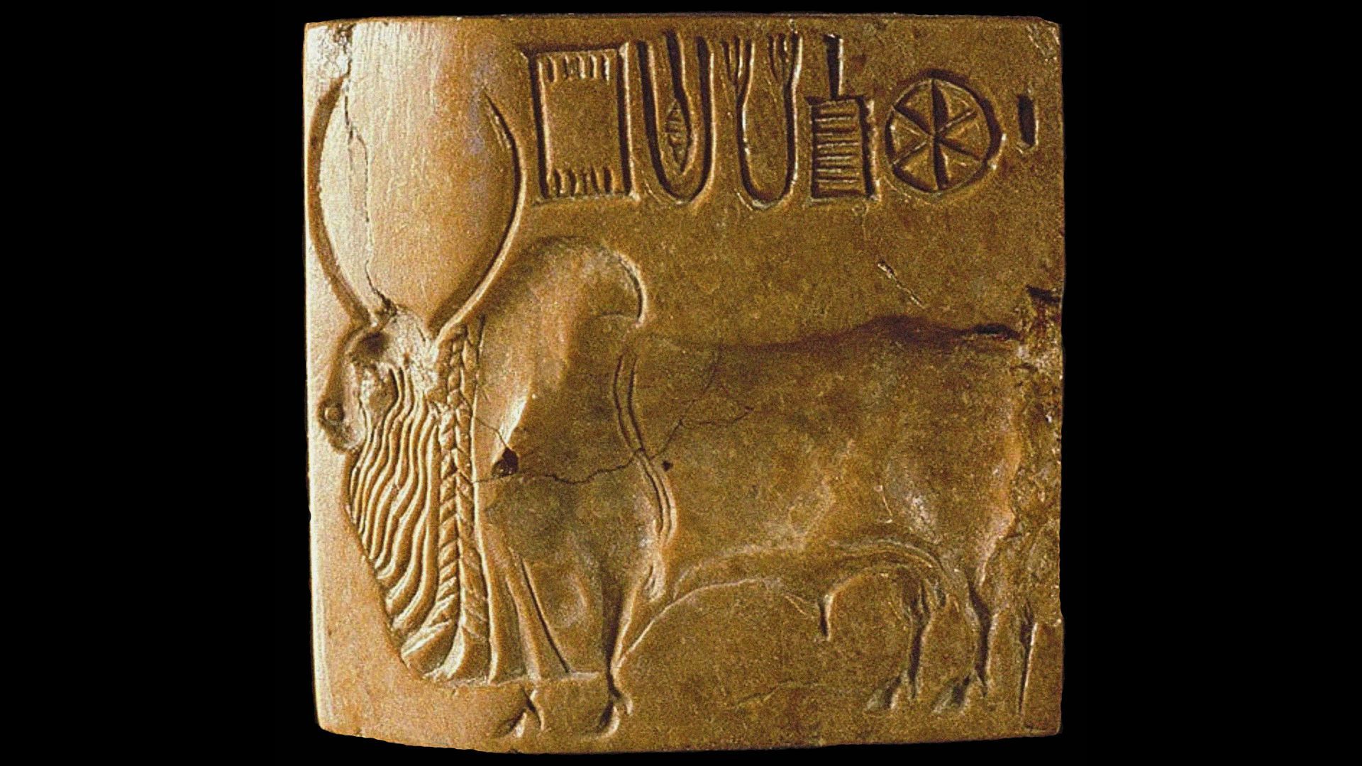 A gold block has carved text in the top right of it with a large bull carved below, all on top of a black background