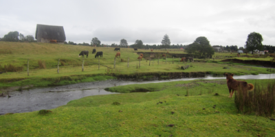 Selon une étude, Monte Verde, l&rsquo;un des premiers sites autochtones d&rsquo;Amérique du Sud, est beaucoup plus jeune qu&rsquo;on ne le pensait. Mais d’autres le qualifient de « travail géologique extrêmement médiocre ».