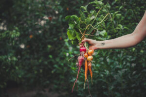 15 légumes résistants au froid que vous pouvez semer directement début mars