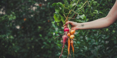 15 légumes résistants au froid que vous pouvez semer directement début mars