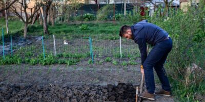 14 travaux de jardinage début mars qui rendent le mois d&rsquo;avril plus facile