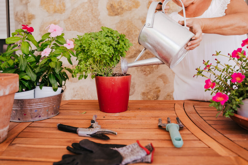 12 mars Idées de rafraîchissement de conteneurs pour patios et porches