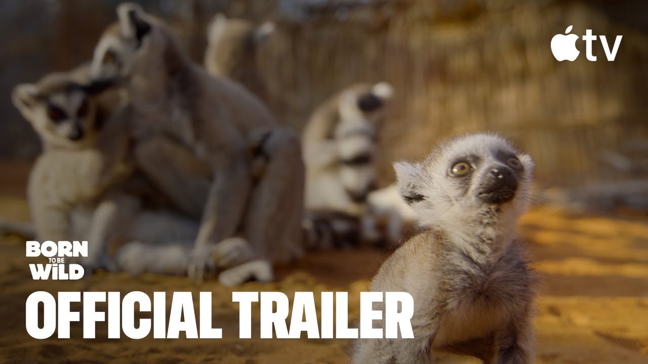 Born To Be Wild — Bande-annonce officielle | Apple TV - YouTube
