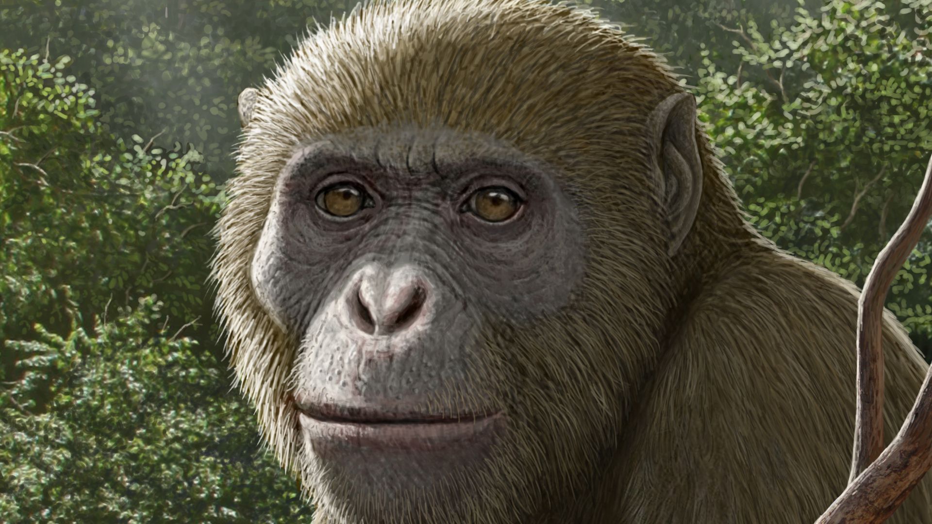 Des fossiles de singe vieux de 18 millions d'années découverts en Afrique, mais dans un endroit inattendu