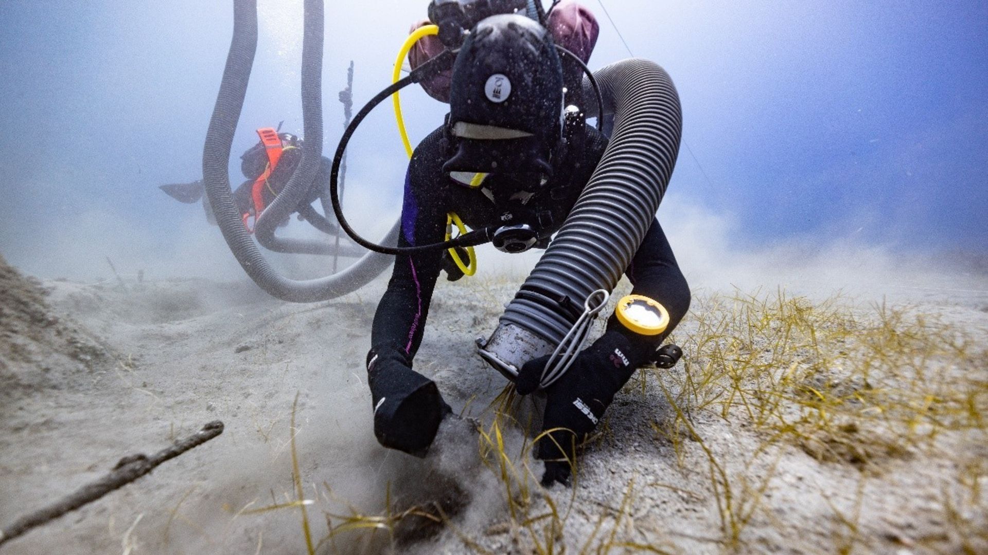 A scuba diver with a large flexible vacuum tube over their left shoulder digs into a soft tan sand