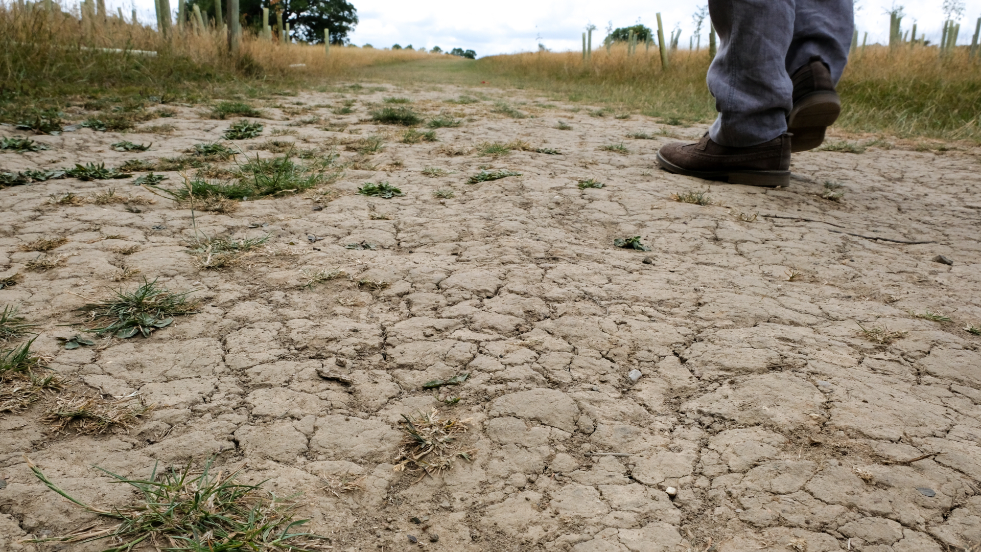 On voit une personne portant des chaussures noires et un pantalon bleu marcher dans un paysage sec et poussiéreux avec quelques parcelles d'herbe verte.