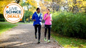 Oubliez les grandes soldes de printemps : ces 9 premières offres de remise en forme laissent Amazon loin derrière