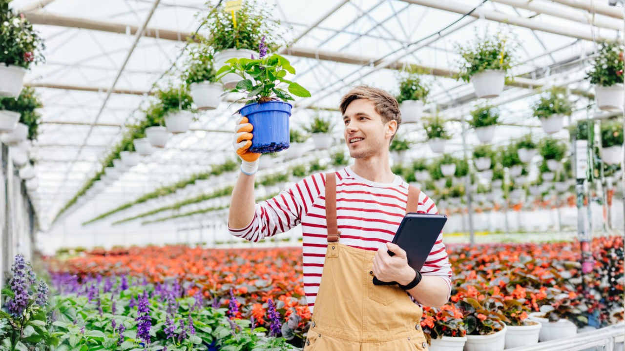 11 meilleures plantes de printemps pour les jardins du sud