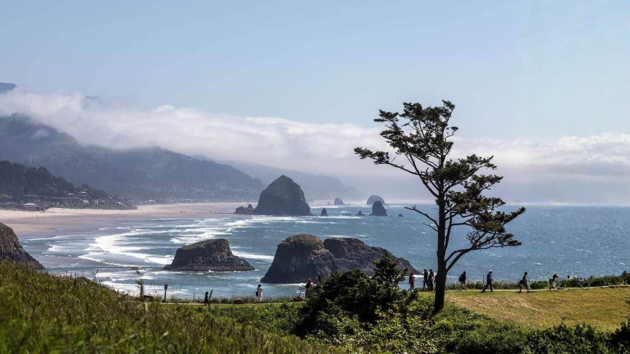 11 voyages côtiers pour les vacances de printemps avec des promenades faciles et des aires de pique-nique