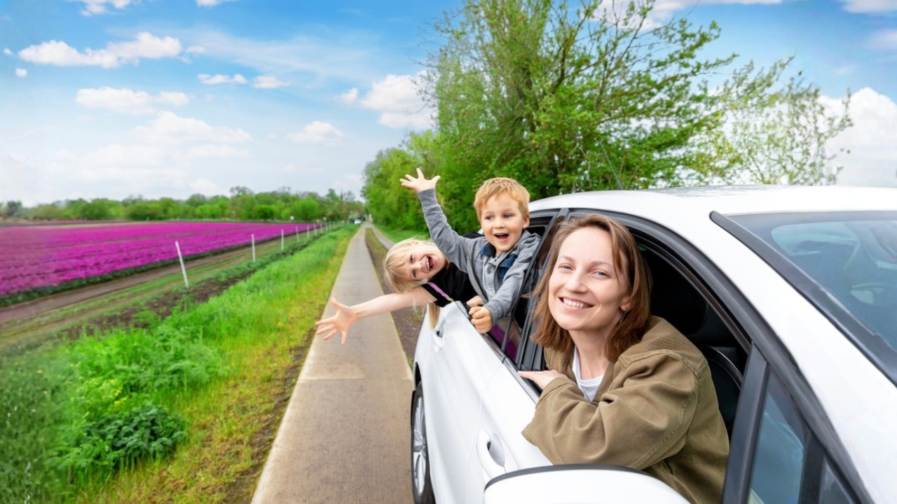 13 voyages de vacances de printemps avec routes panoramiques et points de vue faciles à retirer