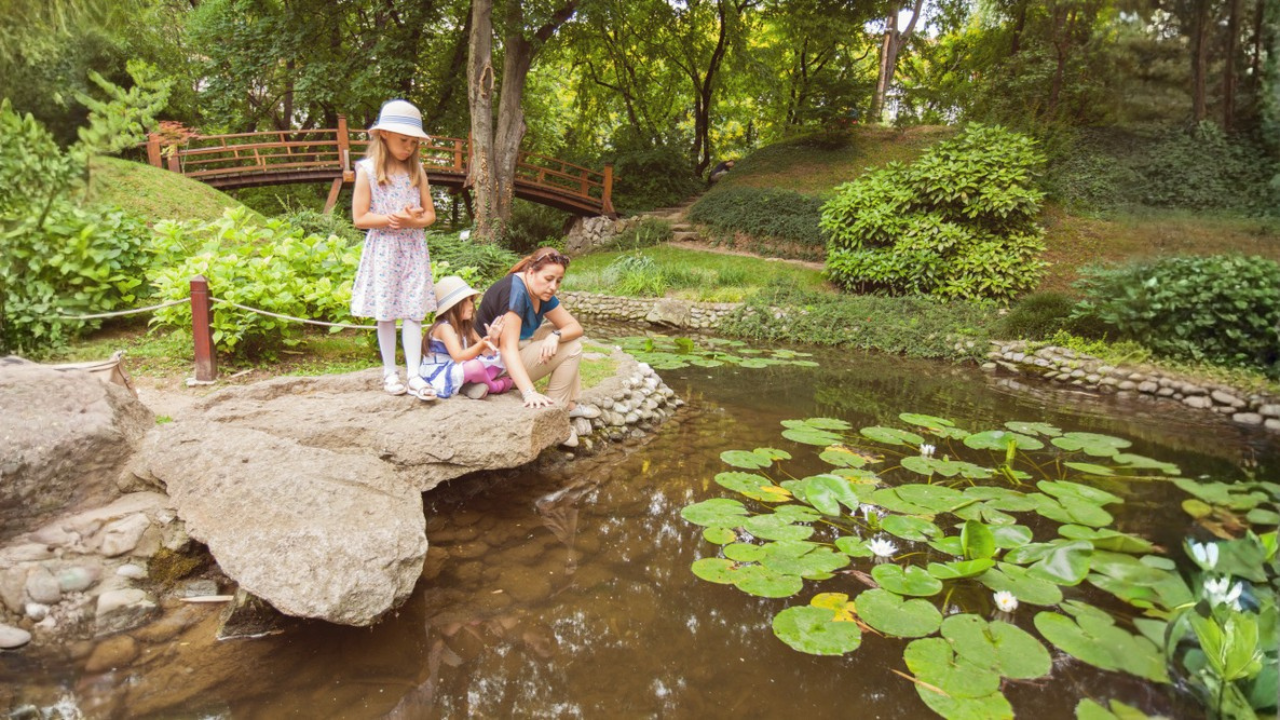 14 voyages de relâche économiques avec parcs gratuits et attractions à faible coût