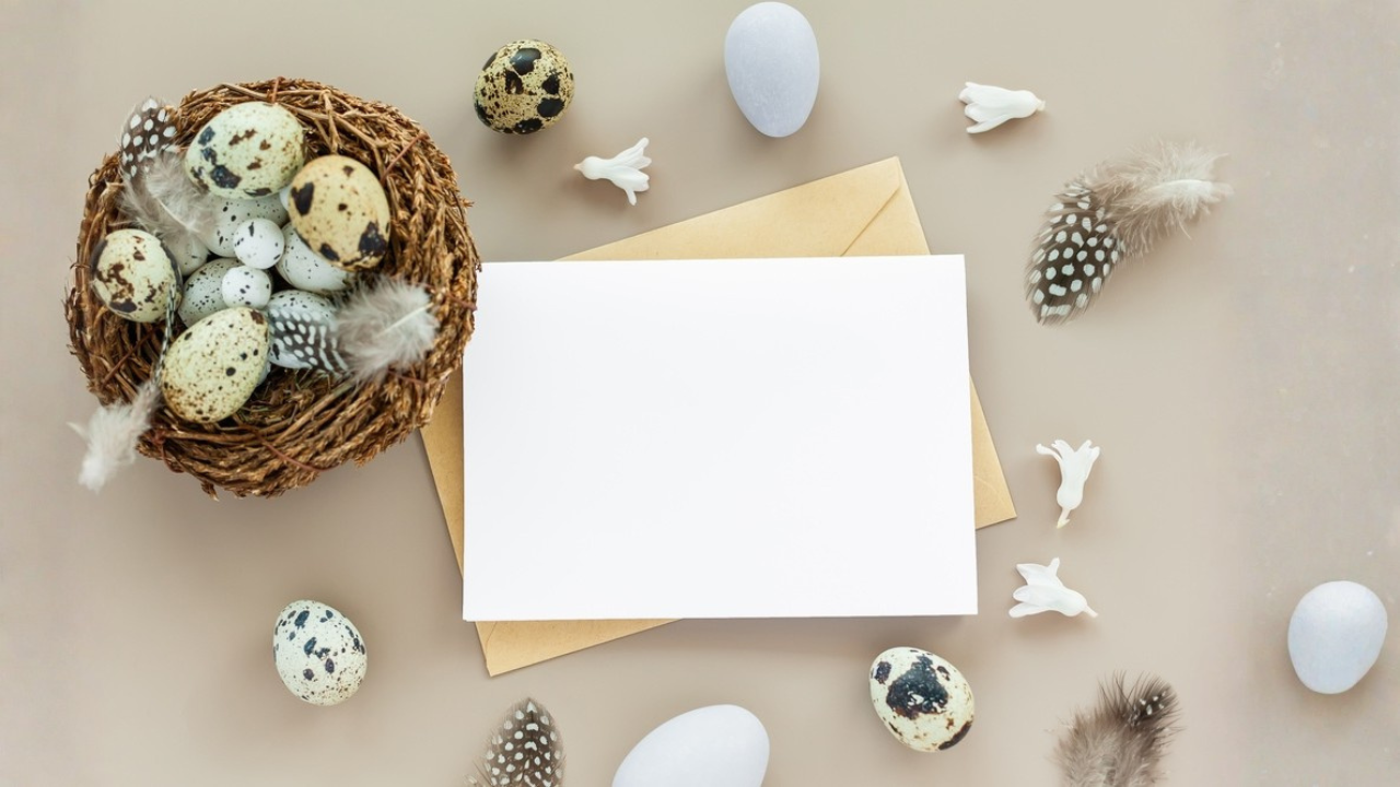 12 meilleures cartes postales et articles en papier du printemps à collectionner