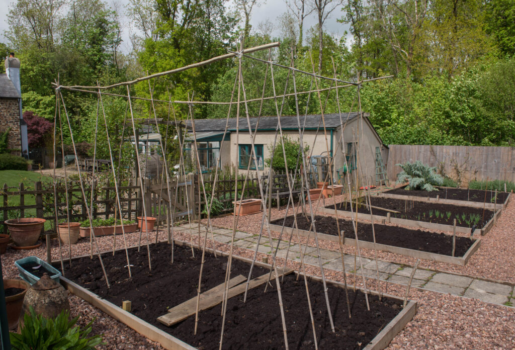 11 idées de treillis faciles à construire avant le décollage des vignes