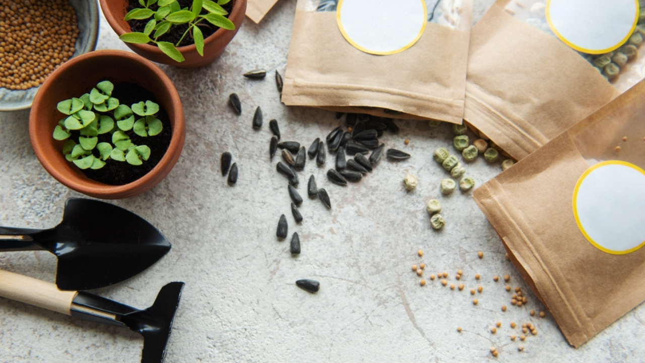 18 paquets de graines vintage que les gens encadrent et collectionnent