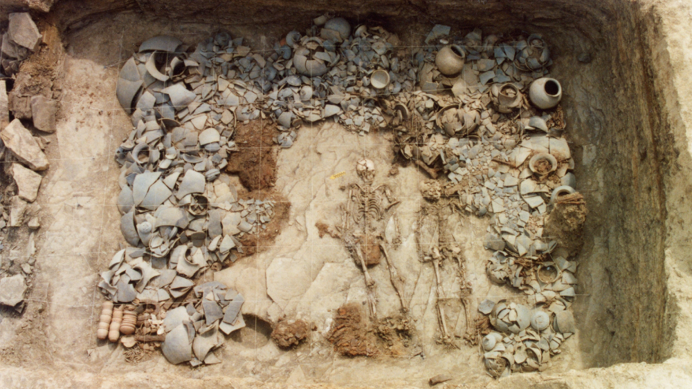 human skeleton being excavated with hundreds of pot sherds around it