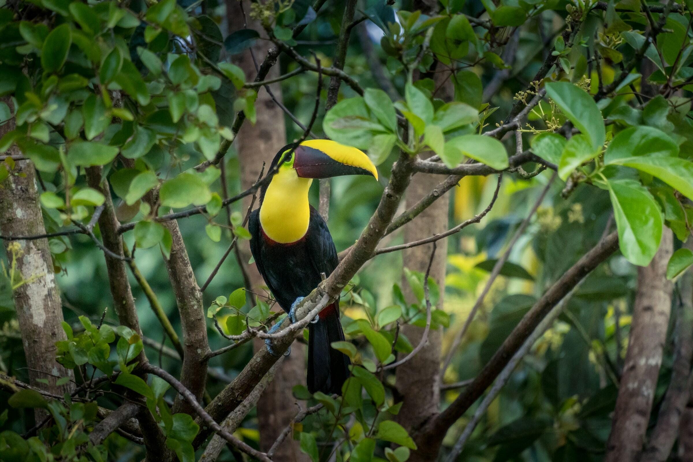 aleksandar-popovski-jOSD1EQp5sw-unsplash