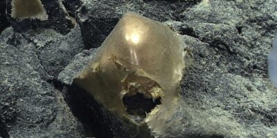 Le mystère de l&rsquo;orbe doré découvert dans les profondeurs de l&rsquo;océan au large de l&rsquo;Alaska a finalement été résolu : « Tout le monde se disait : « Qu&rsquo;est-ce qui se passe ? Qu&rsquo;est-ce que c&rsquo;est?&rsquo;