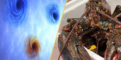 Actualités scientifiques cette semaine : les physiciens sont témoins de piqûres d&rsquo;épingle dans l&rsquo;obscurité plus rapides que la lumière, les humains continuent d&rsquo;évoluer et certains ours polaires deviennent plus gros que jamais.