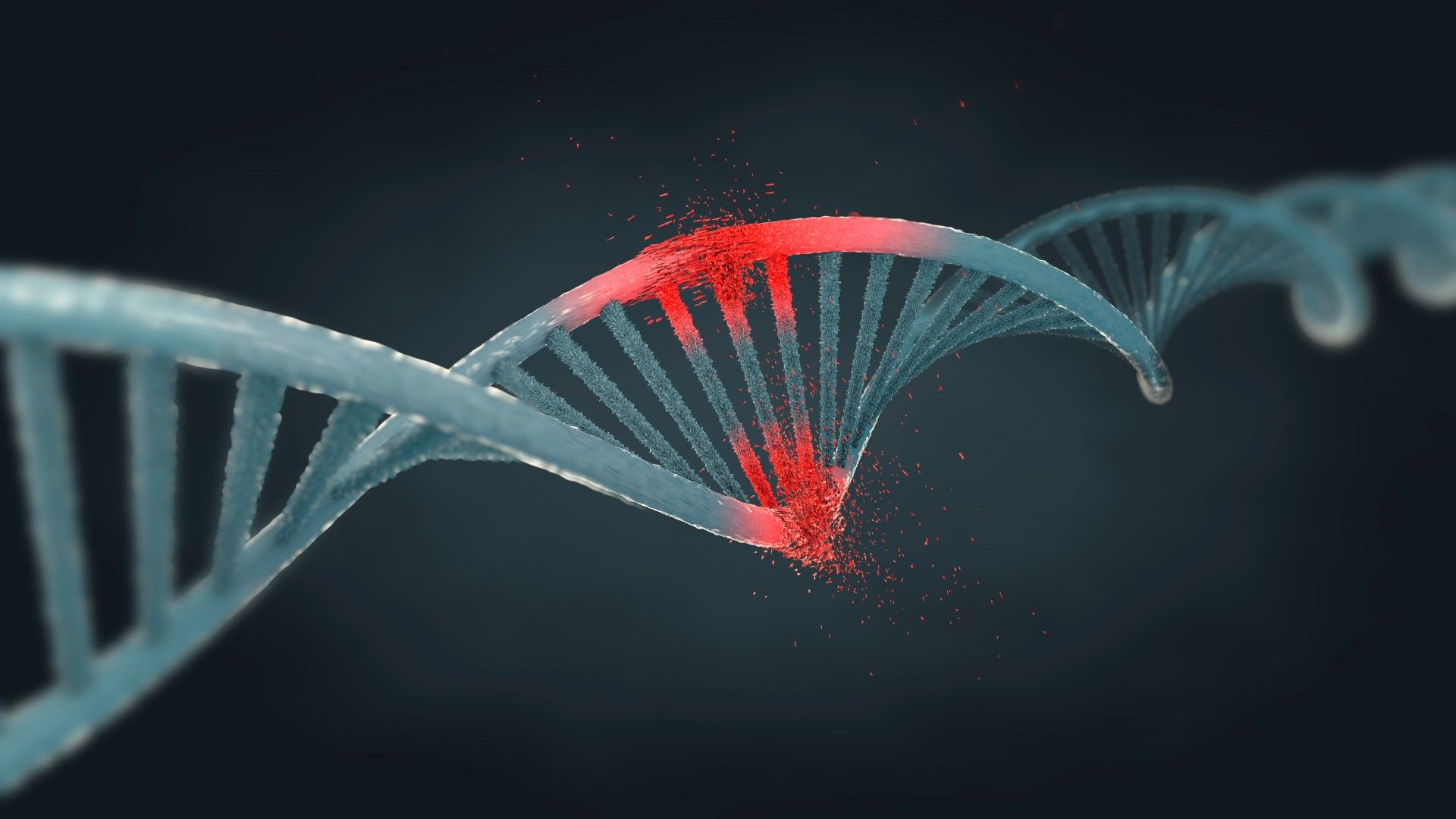 An illustration of a damaged strand of DNA against a black background. The damage can be shown in red.