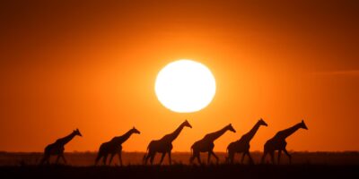 L&rsquo;Afrique offre les meilleurs couchers de soleil au monde. Voici où les voir