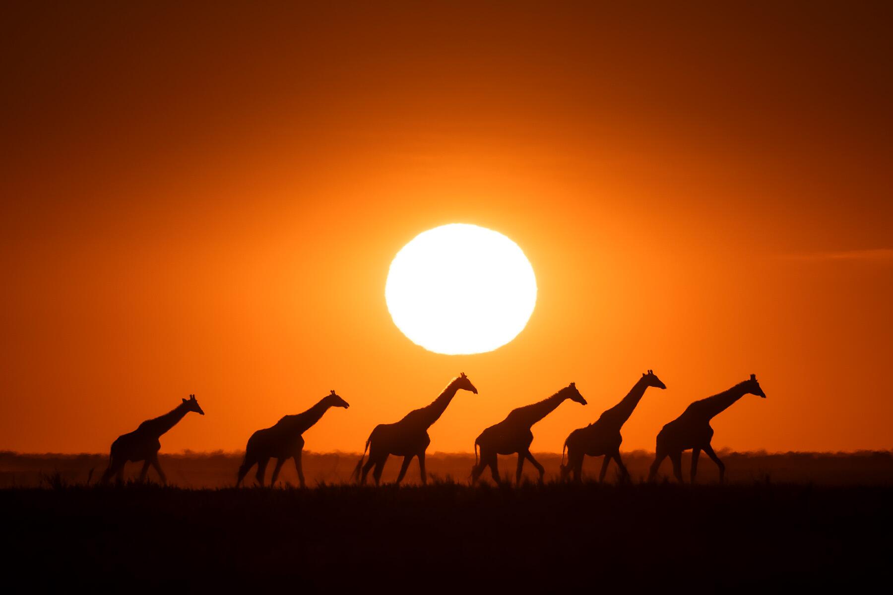 L'Afrique offre les meilleurs couchers de soleil au monde. Voici où les voir