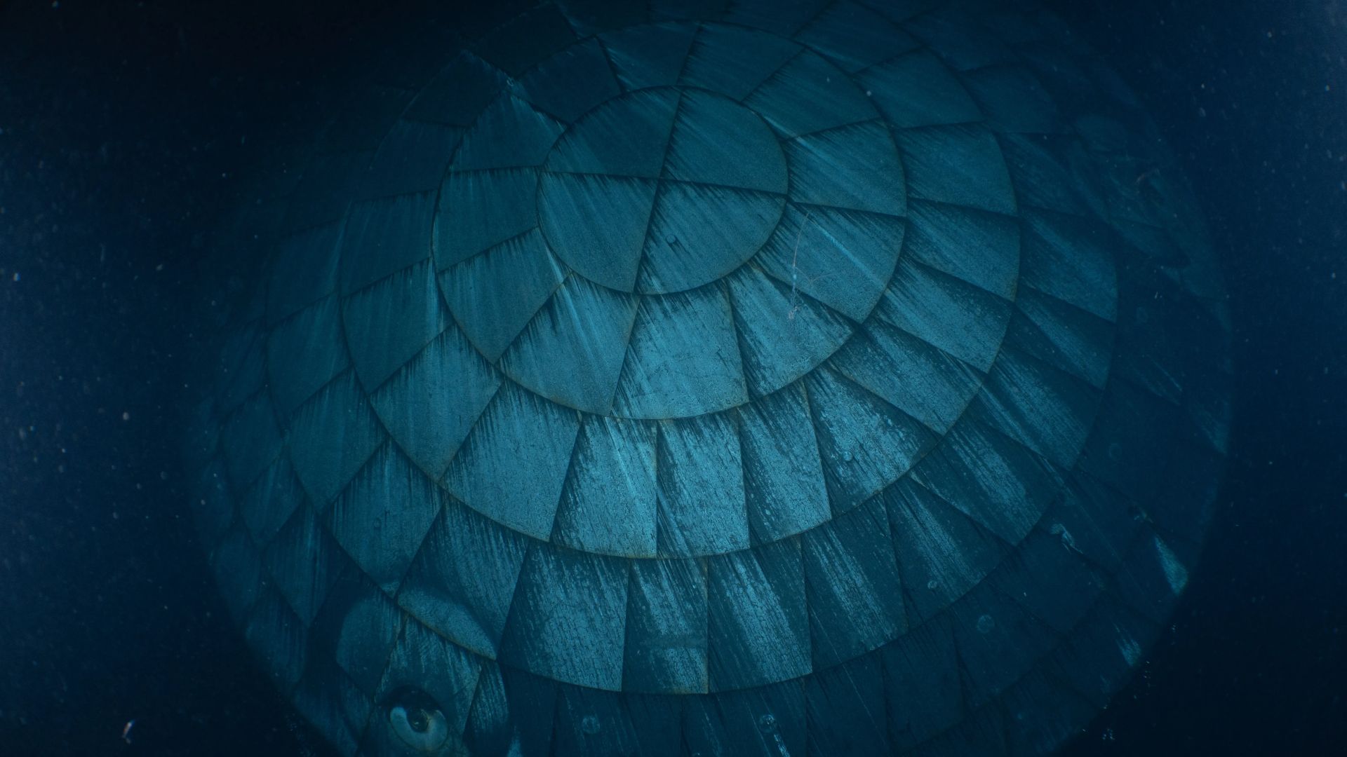 A close up of a circular heat shield made of interlocking rectangular components seen underwater.