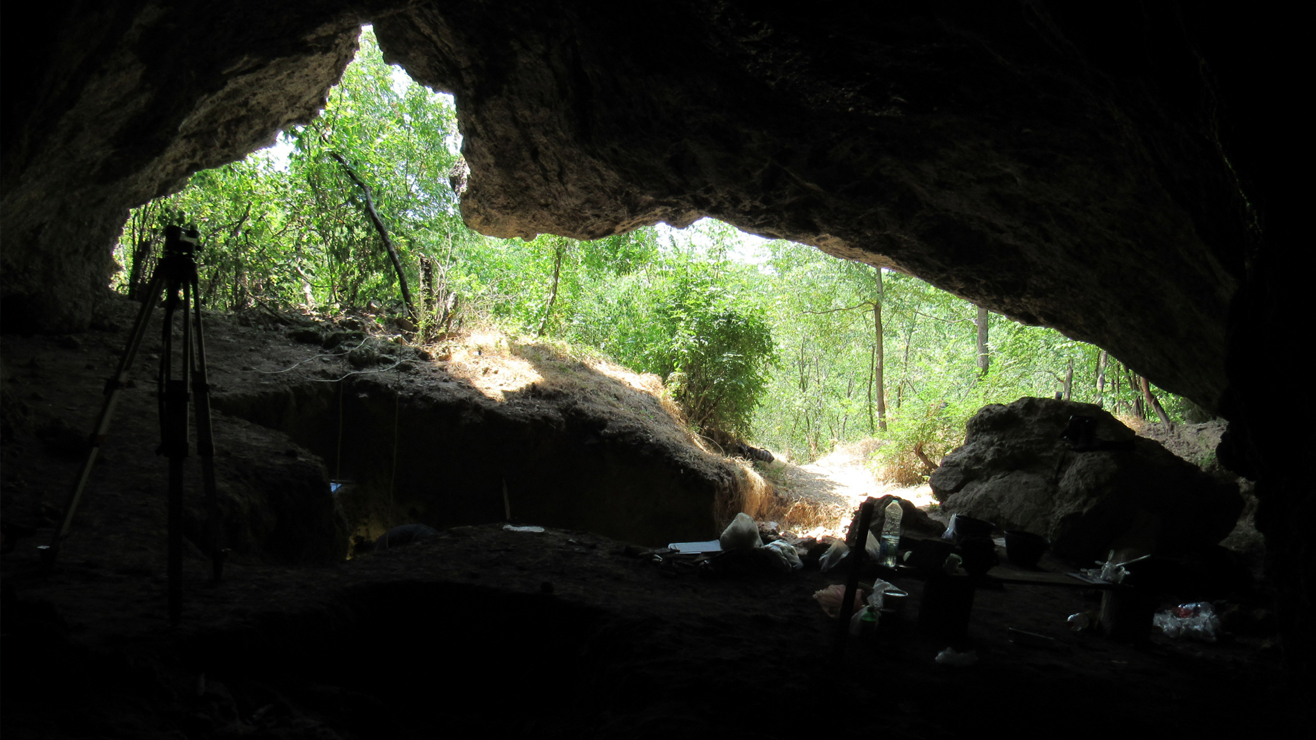 Une vue depuis l’intérieur d’une grotte sombre à travers une ouverture où se trouve au-delà une jungle verte et luxuriante.