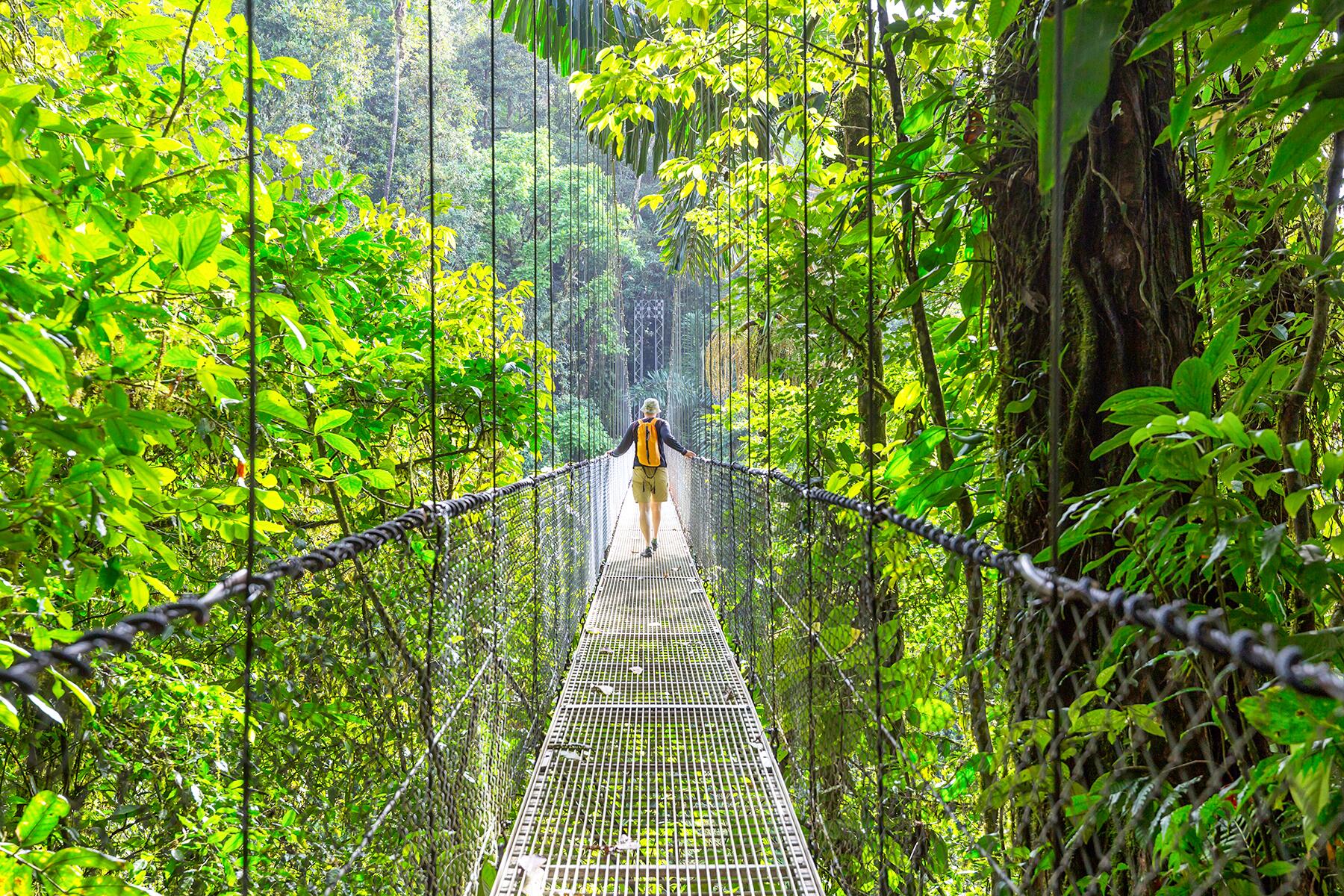 Les jungles hantées sont la raison surprenante de visiter ce pays