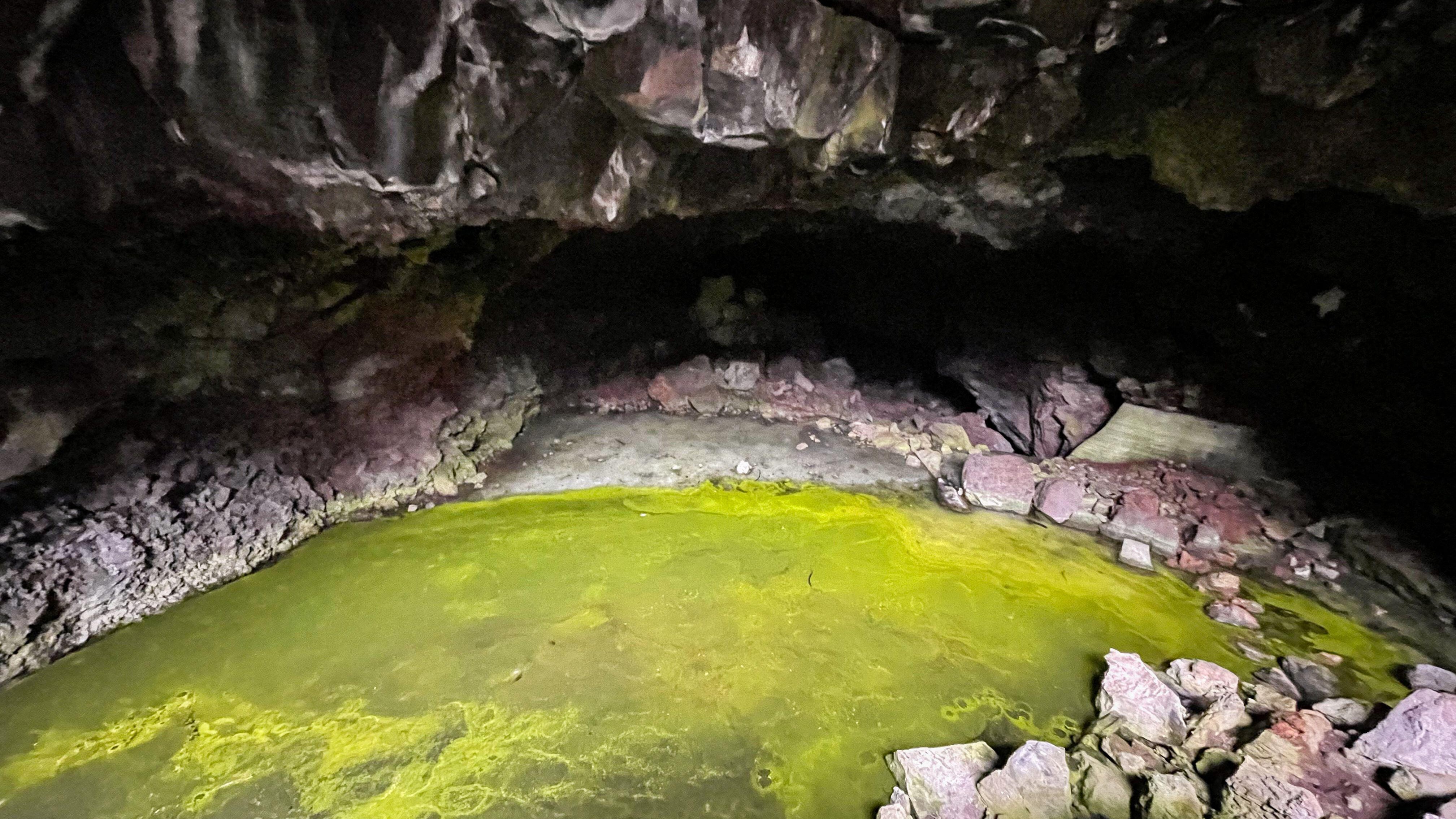 Intérieur de la grotte de glace du volcan Bandera au Nouveau-Mexique. Le sol de la grotte est recouvert de glace elle-même recouverte d'un tapis d'algues.