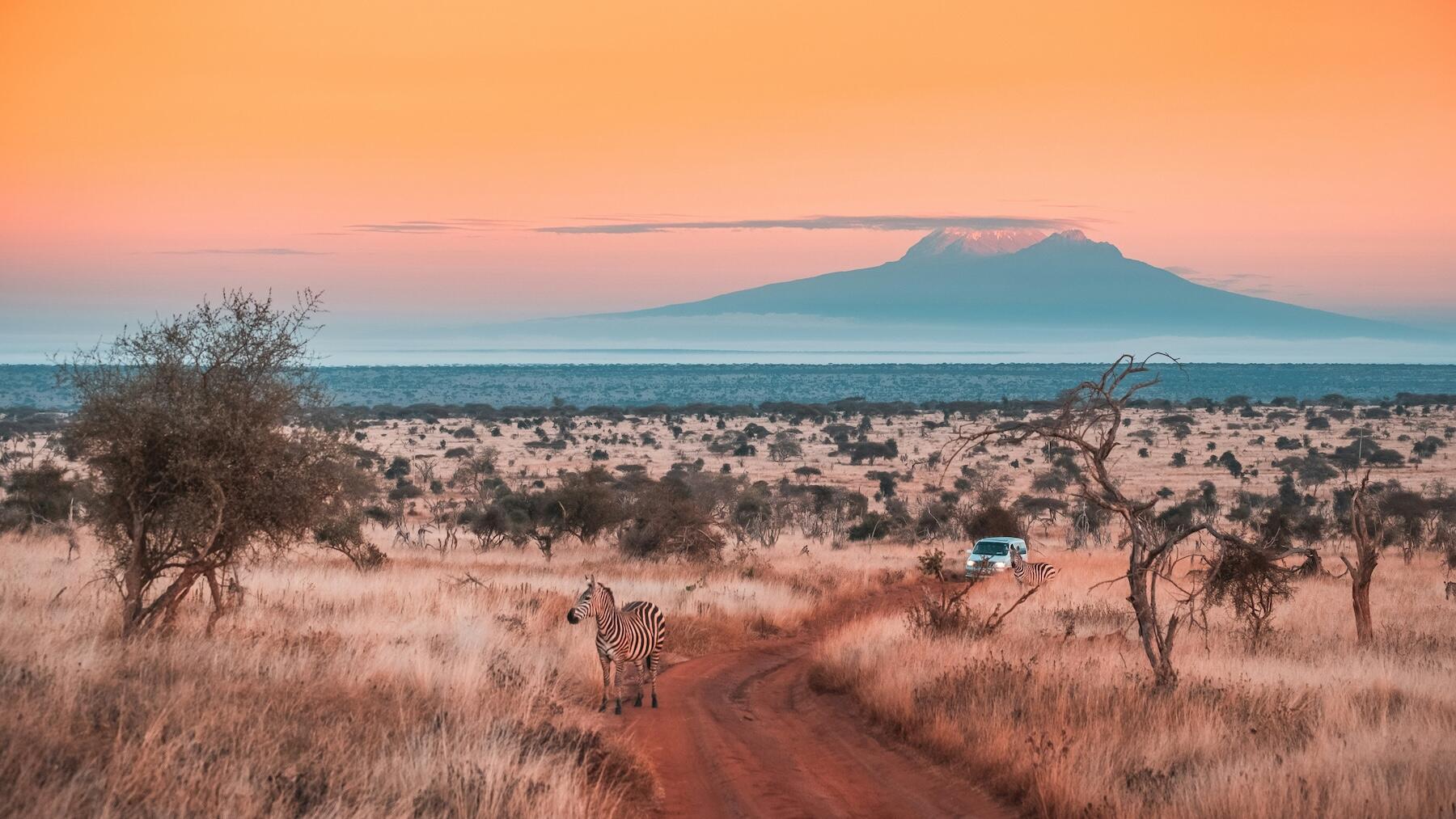 Avec 54 pays parmi lesquels choisir, comment choisir une destination africaine ?