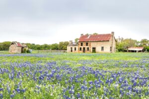 Un road trip aux fleurs sauvages vous montrera une autre facette de cet État