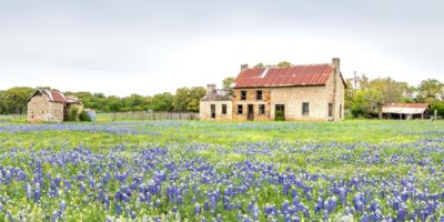 Un road trip aux fleurs sauvages vous montrera une autre facette de cet État
