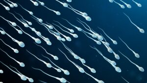 Dilemme diagnostique : l'infertilité de la femme pourrait avoir été causée par une allergie rare au sperme