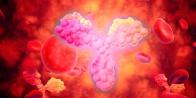 Une cause sous-jacente de la maladie inflammatoire de l’intestin identifiée dans une nouvelle étude
