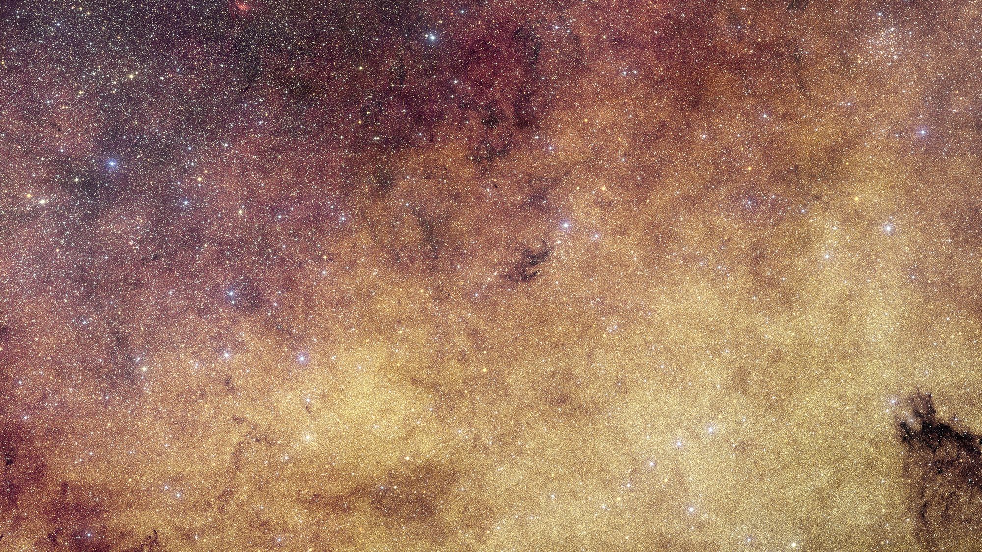 60 millions d'étoiles : le télescope spatial Euclide prend la plus grande photo en gros plan jamais vue du cœur bondé de la Voie lactée