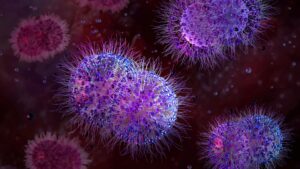 Des scientifiques ont infecté un « vagin sur puce » avec la gonorrhée, puis l'ont guéri grâce à un nouvel antibiotique découvert par AI