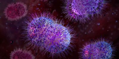 Des scientifiques ont infecté un « vagin sur puce » avec la gonorrhée, puis l&rsquo;ont guéri grâce à un nouvel antibiotique découvert par AI