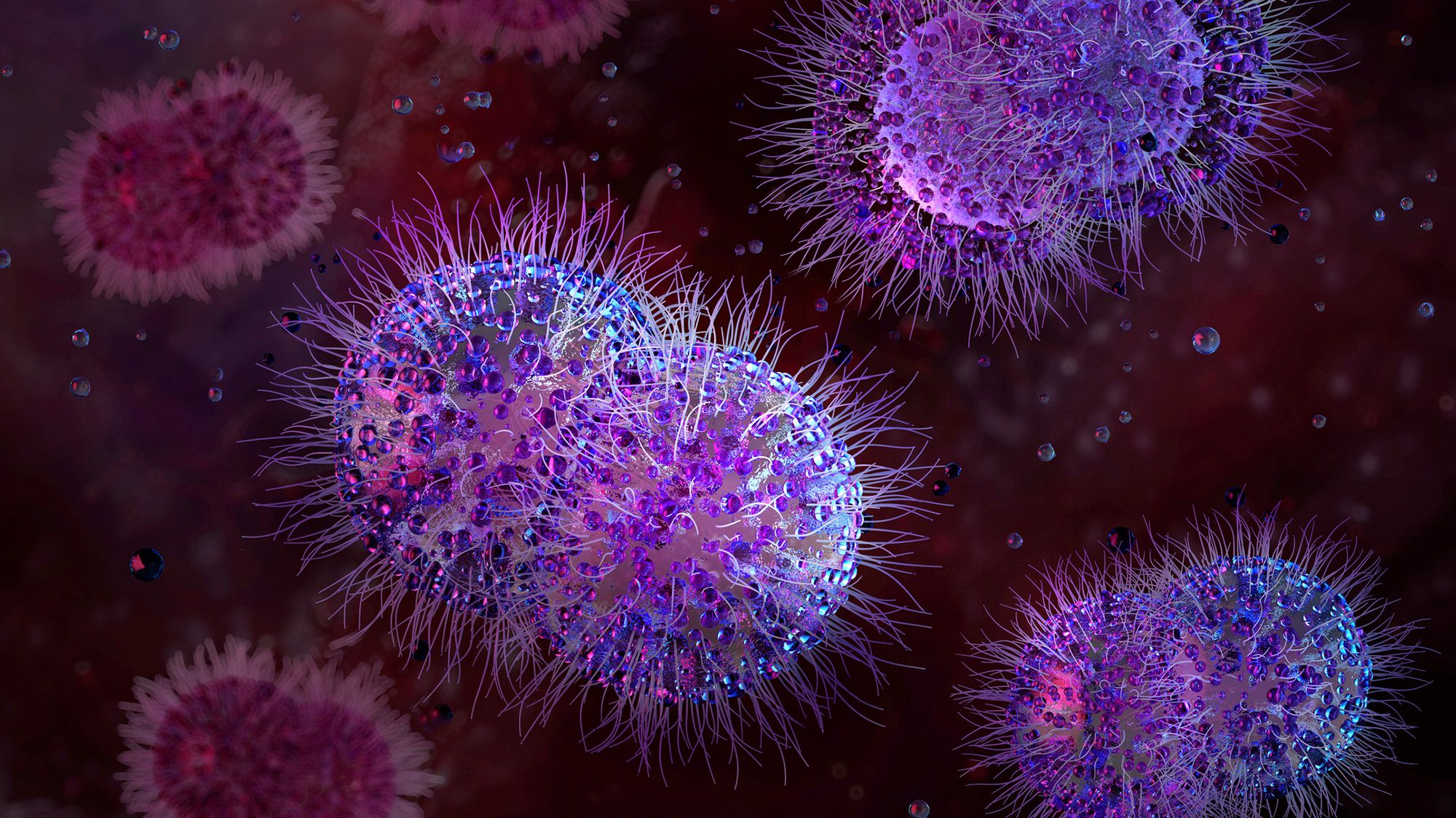 Des scientifiques ont infecté un « vagin sur puce » avec la gonorrhée, puis l'ont guéri grâce à un nouvel antibiotique découvert par AI