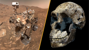 A split image of NASA's Perseverance rover on Mars and the skull of early hominin Homo naledi.