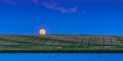 Strawberry Moon 2026 : la pleine lune de ce soir est la plus basse et l&rsquo;une des plus petites « microlunes » de l&rsquo;année