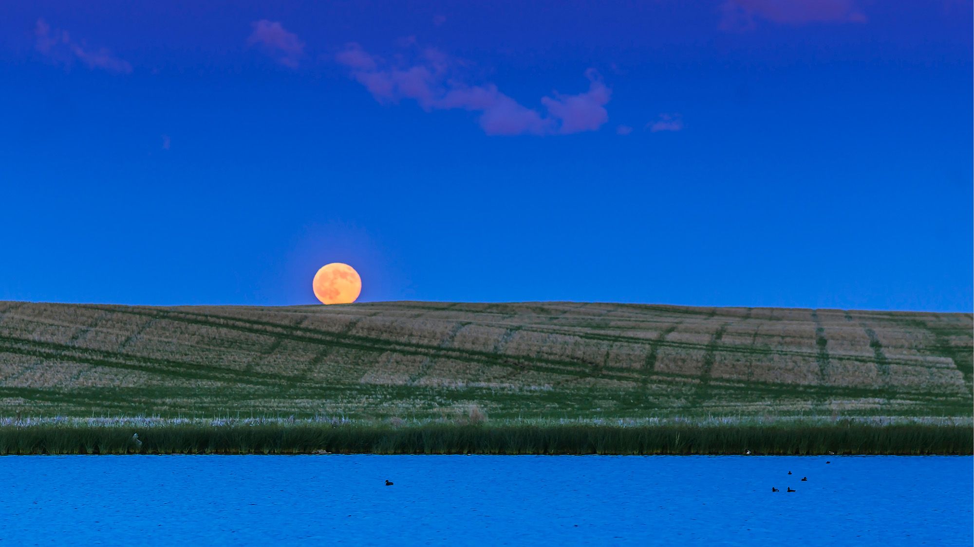 Strawberry Moon 2026 : la pleine lune de ce soir est la plus basse et l'une des plus petites « microlunes » de l'année