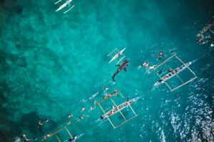 Ces 10 plages américaines populaires sont également des hotspots pour les requins