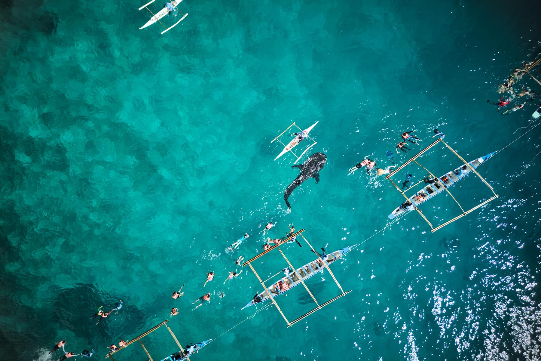 Ces 10 plages américaines populaires sont également des hotspots pour les requins