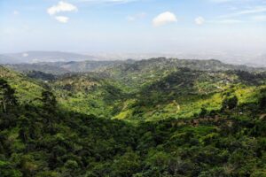 La Jamaïque offre bien plus que ce que la plupart des voyageurs savent